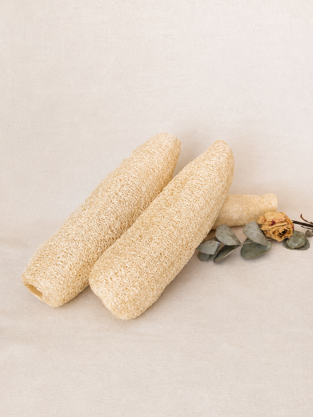 Luffa entera (esponja vegetal)