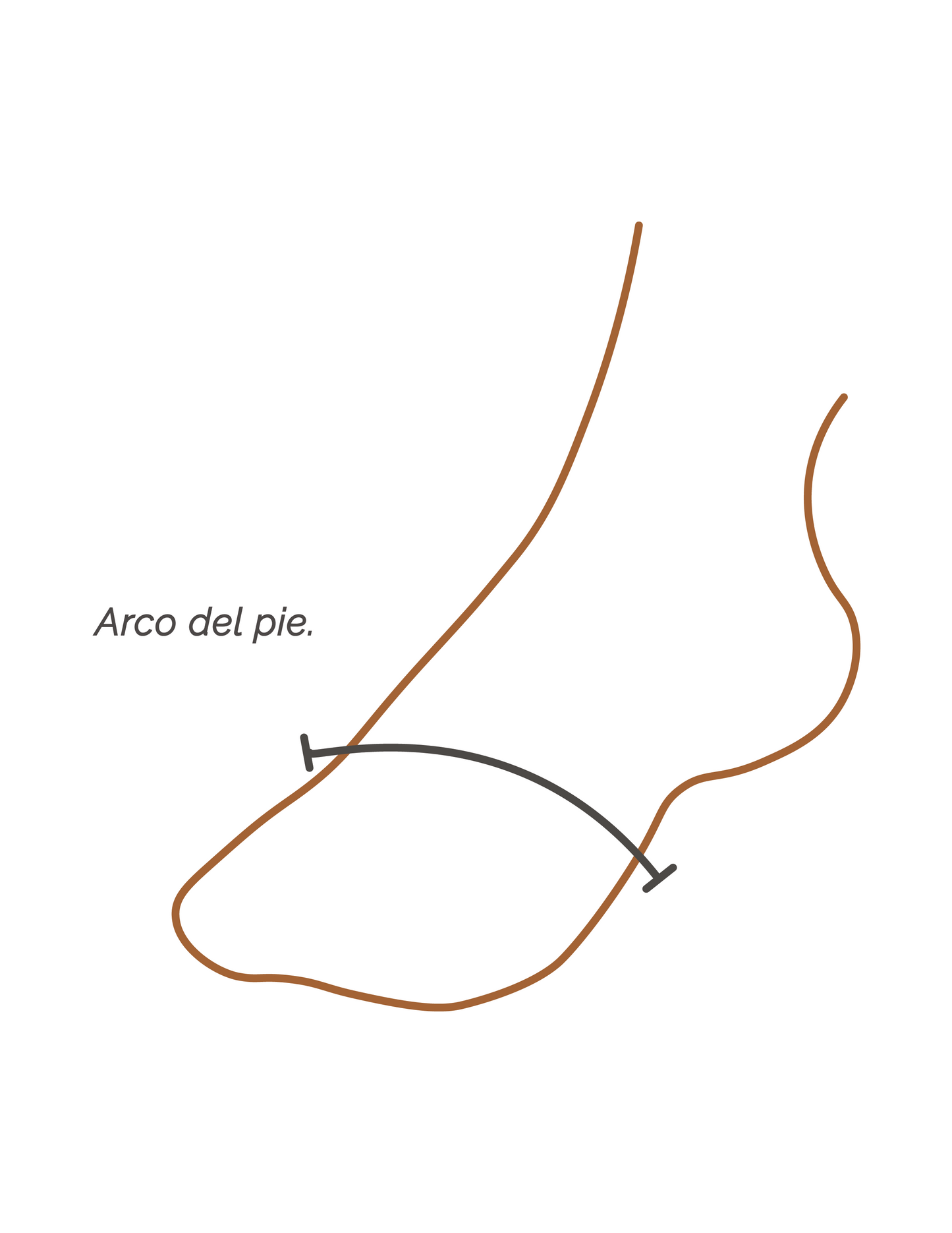 Alpargatas Bosque árido / Confección a pedido